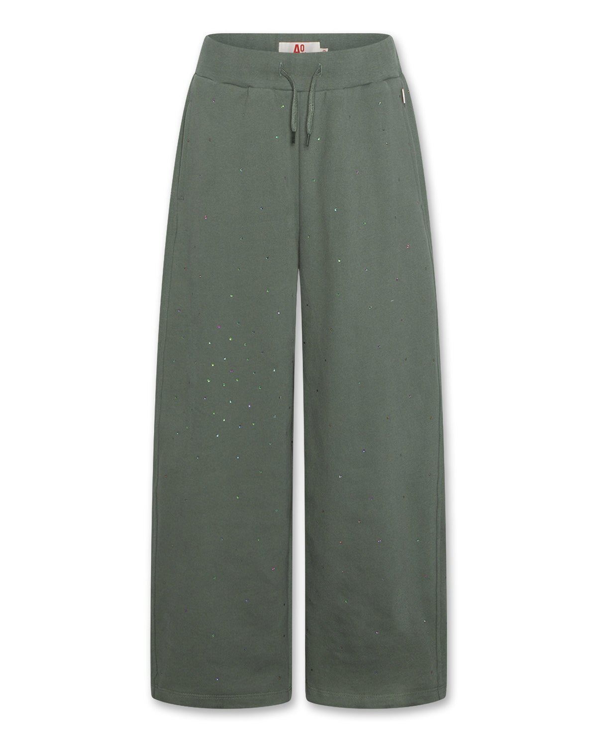 Pantalon Belga strass AO76